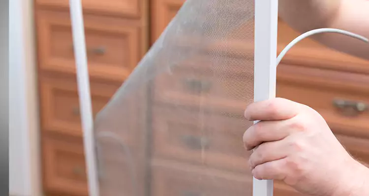 Privacy Mesh Screen Door Installation in North Port, FL